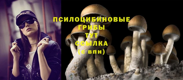 прущая мука Заволжск