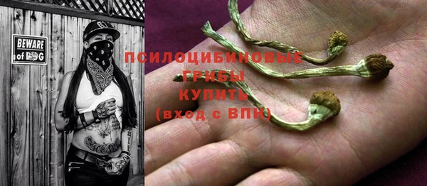 a pvp Заволжье