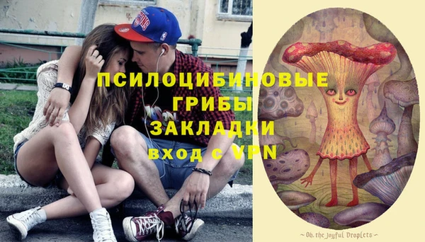 меф Заводоуковск